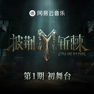 91精品国产综合久久久不打电影
