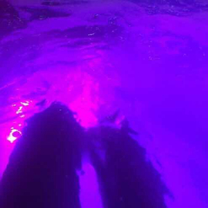 91精品国产综合久久久不打电影
